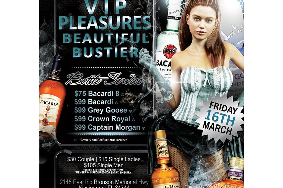 VIP Pleasures Beautiful Bustier