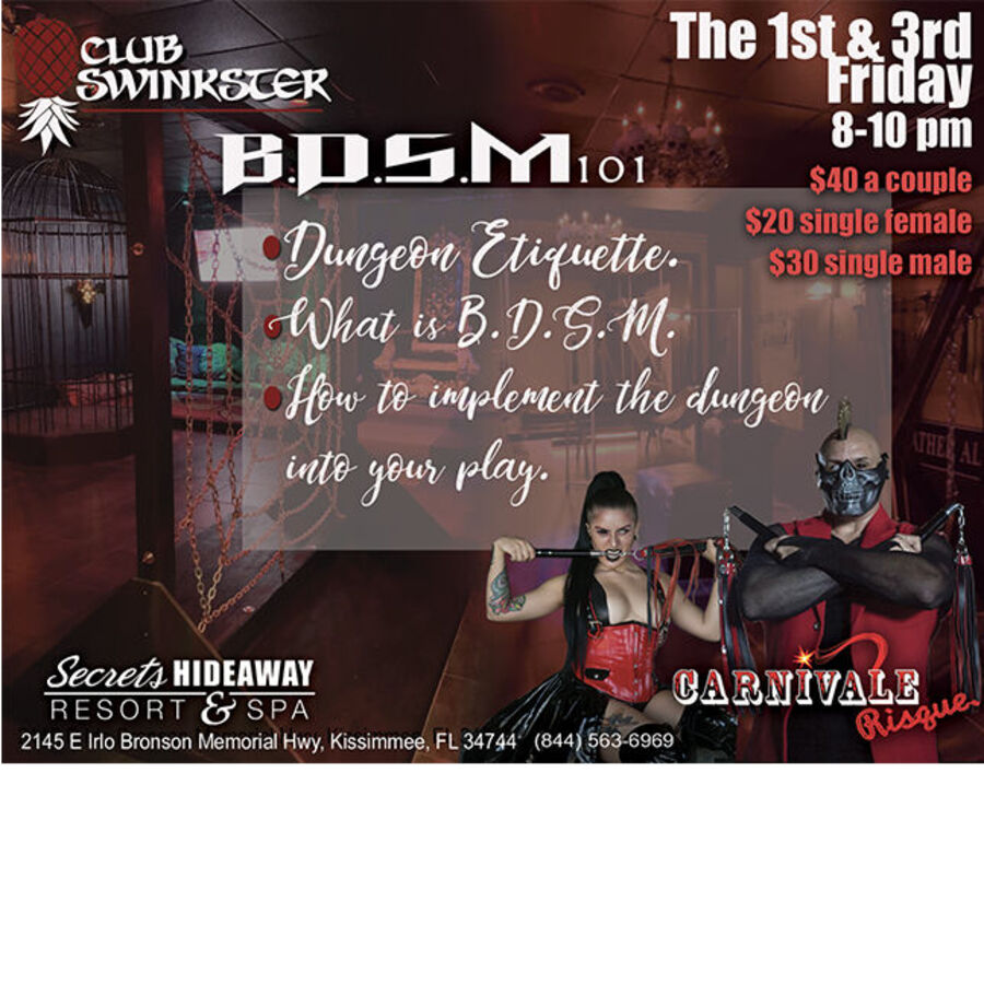 BDSM 101