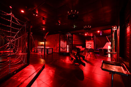 Dungeon Playroom 30